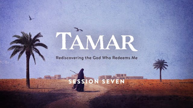 Tamar - Session 7