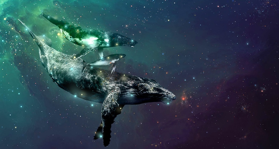 Sagittarius ✨ #Starseed ✨ "Guiding Light"