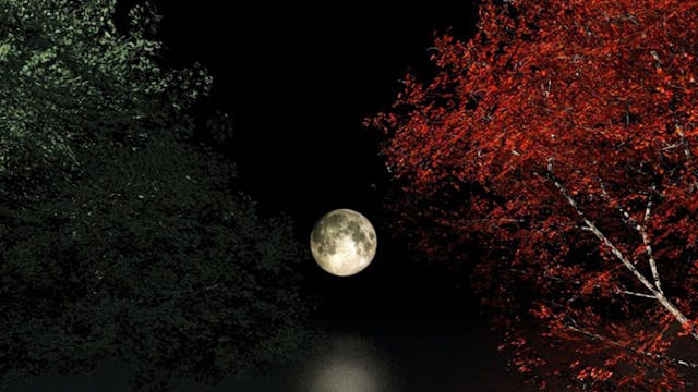 I Dont Give A FUCK, Christmas!!