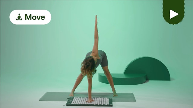 Class 3: Reset | Yoga