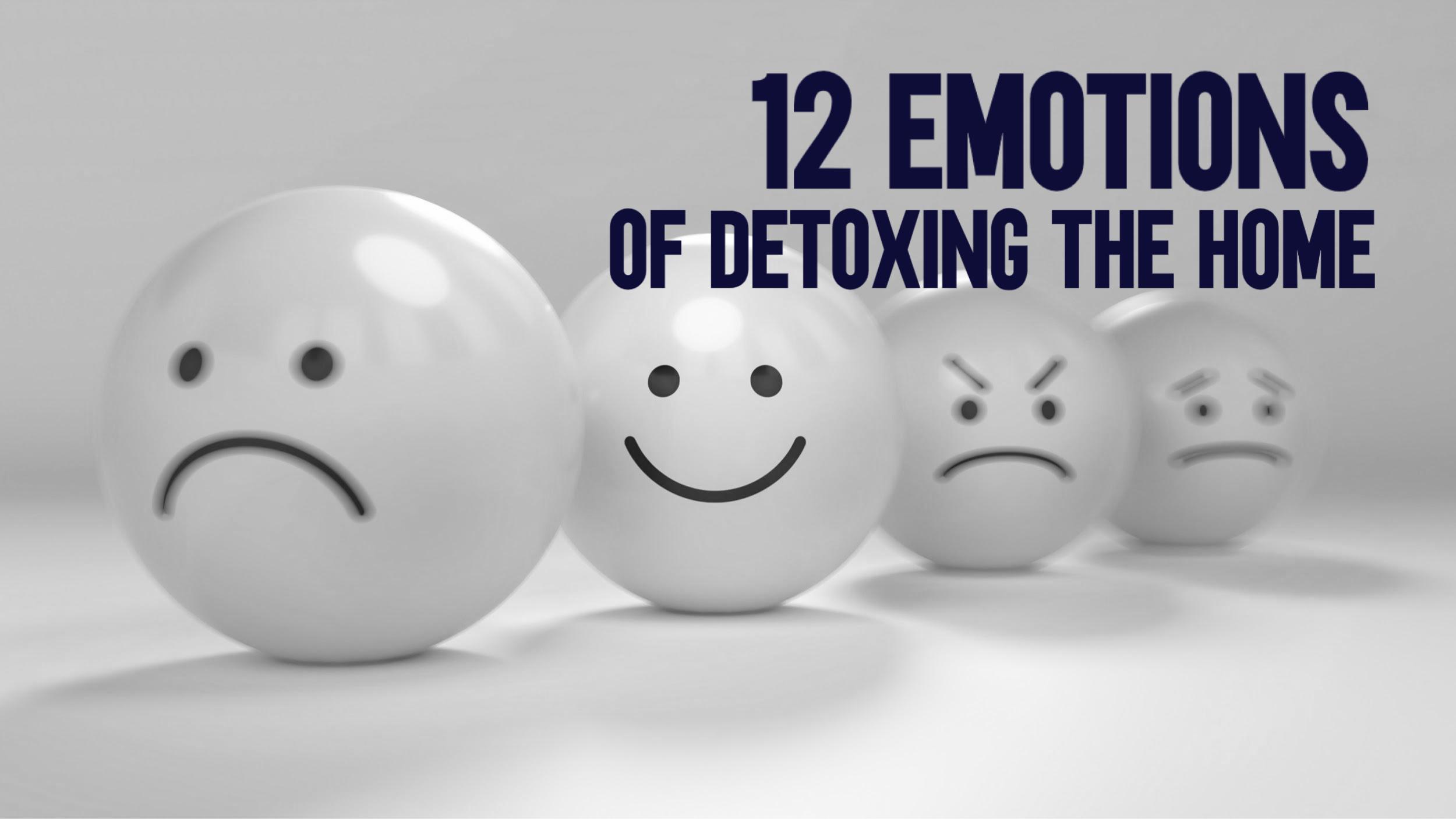 Home Detox - 12 emotions of detoxing the home