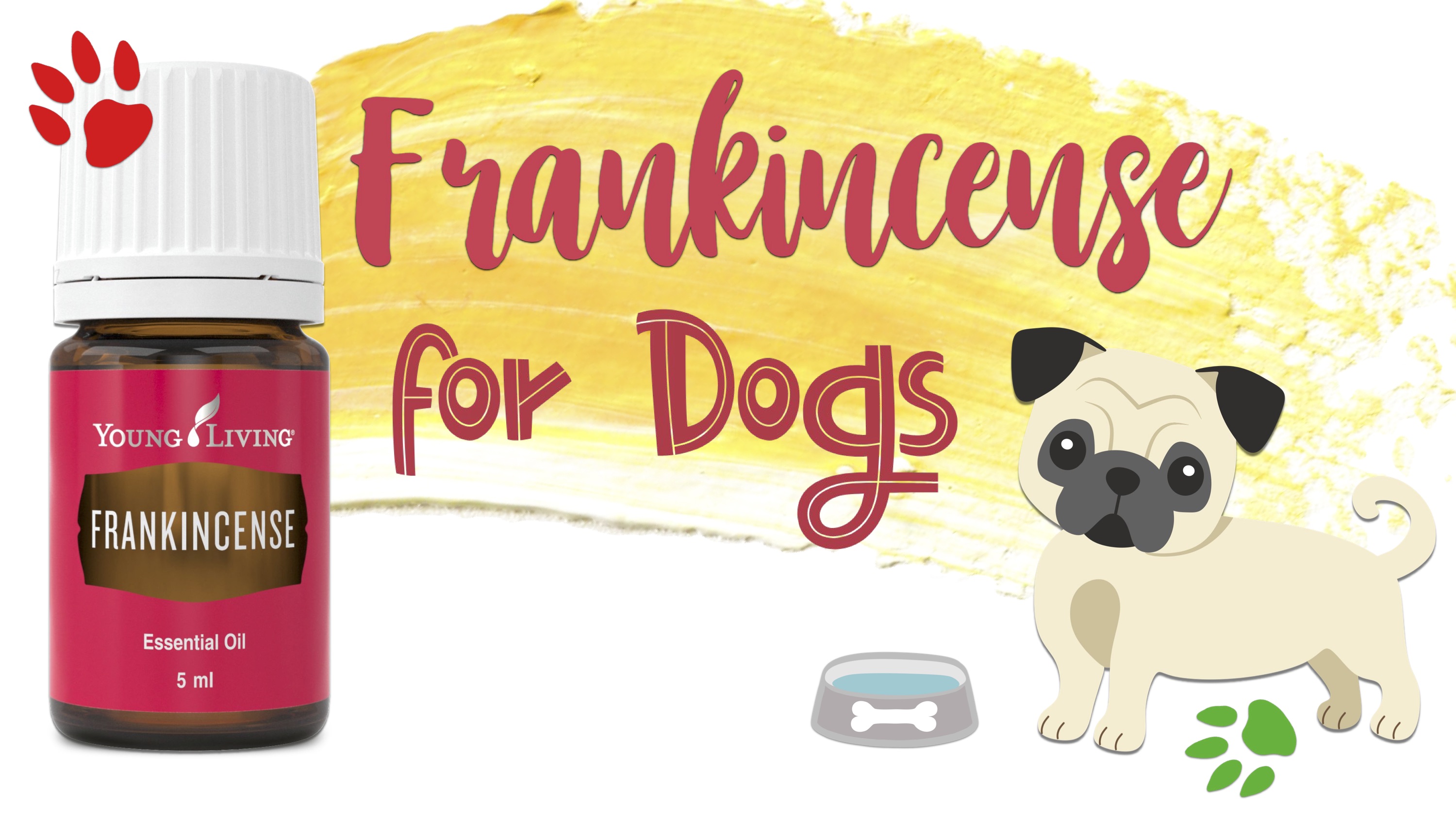 Frankincense for Dogs