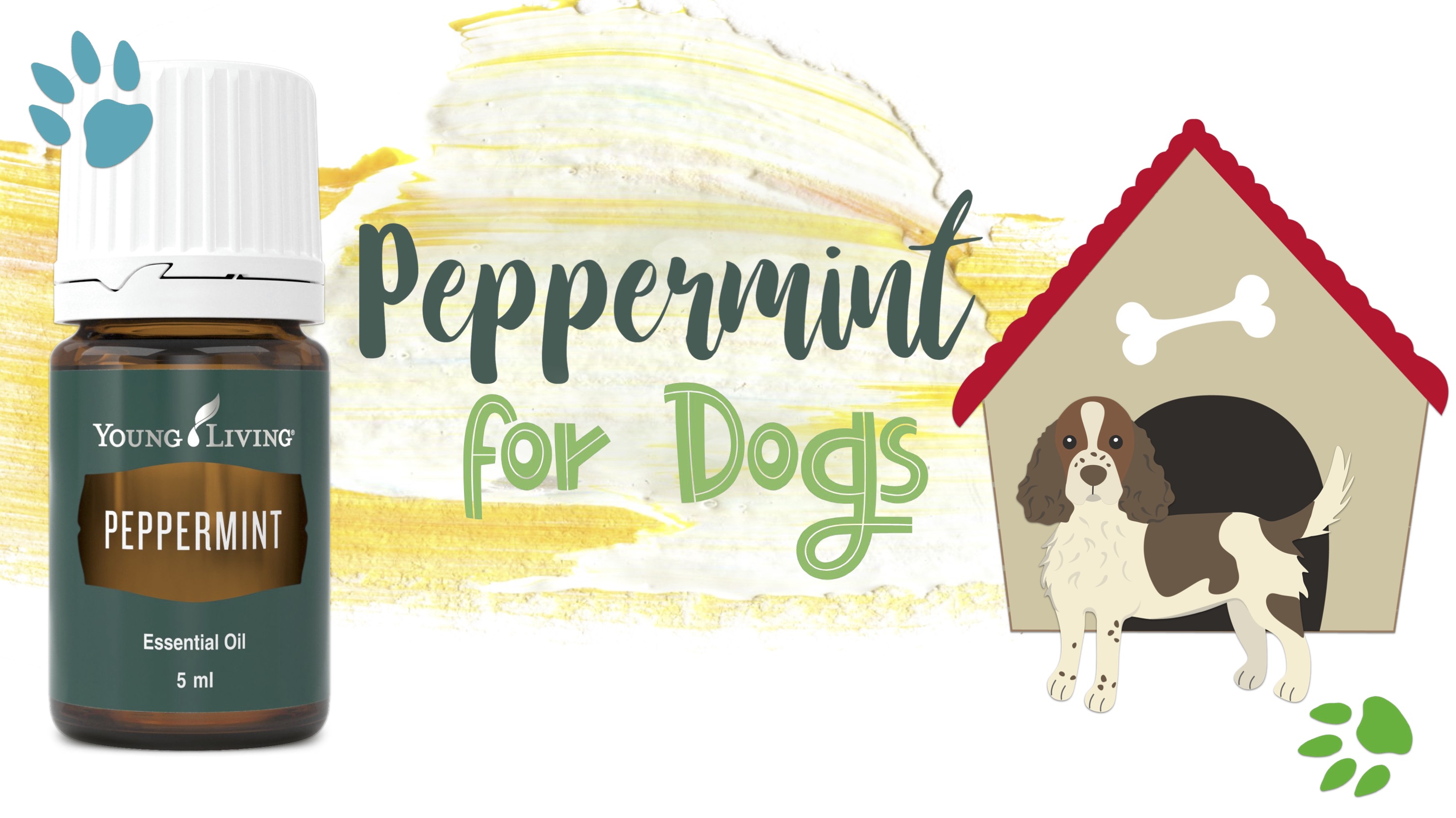 Peppermint for Dogs