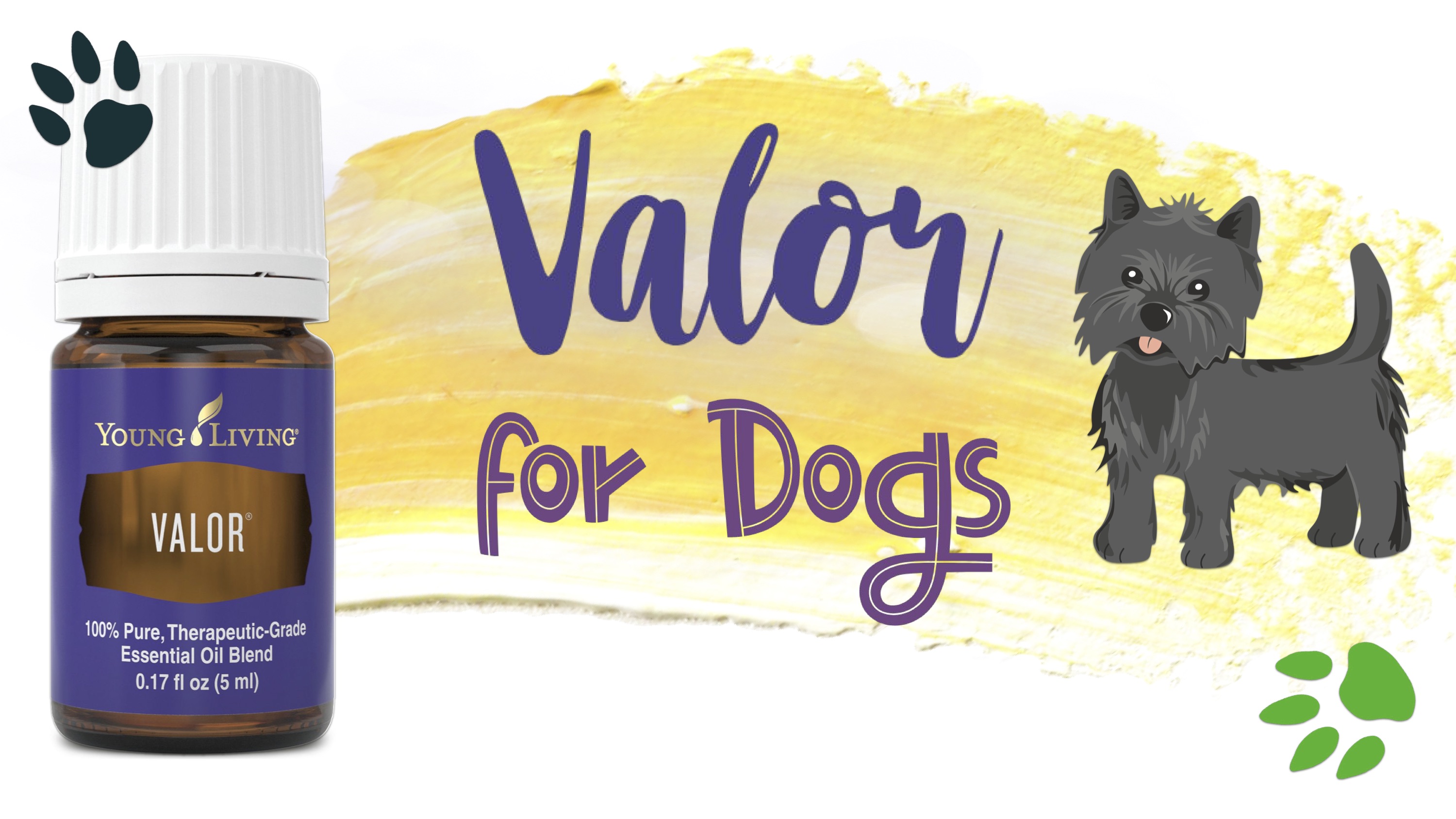 Valor for Dogs