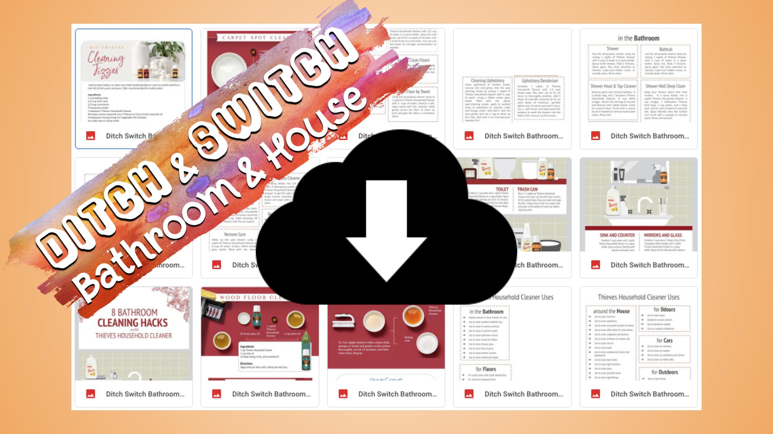 Ditch & Switch in the Bathroom & House - Handouts