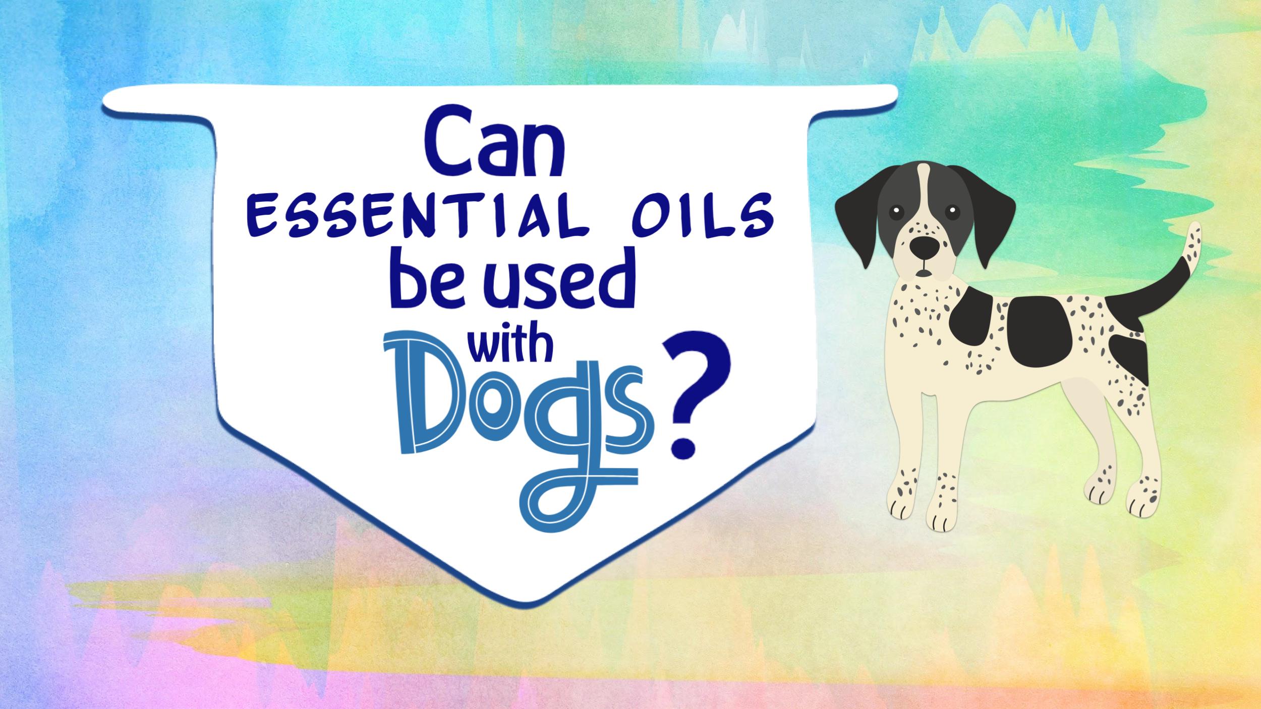 Can essential oils be used with dogs?