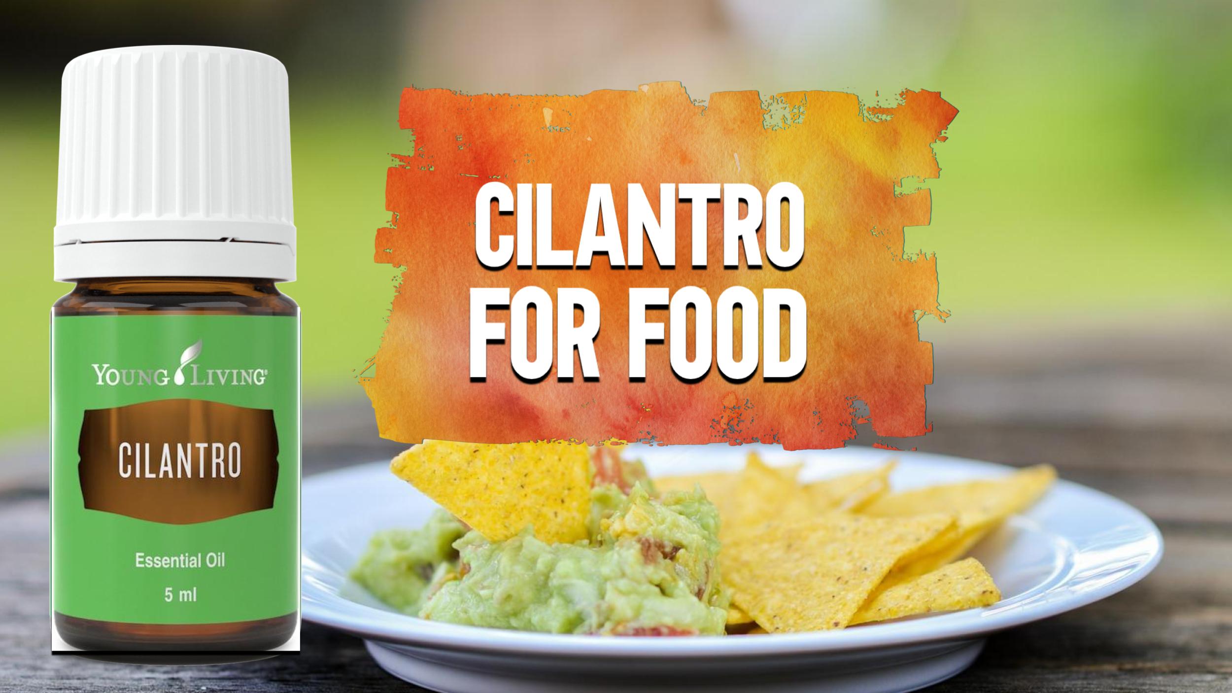 Cilantro for Food