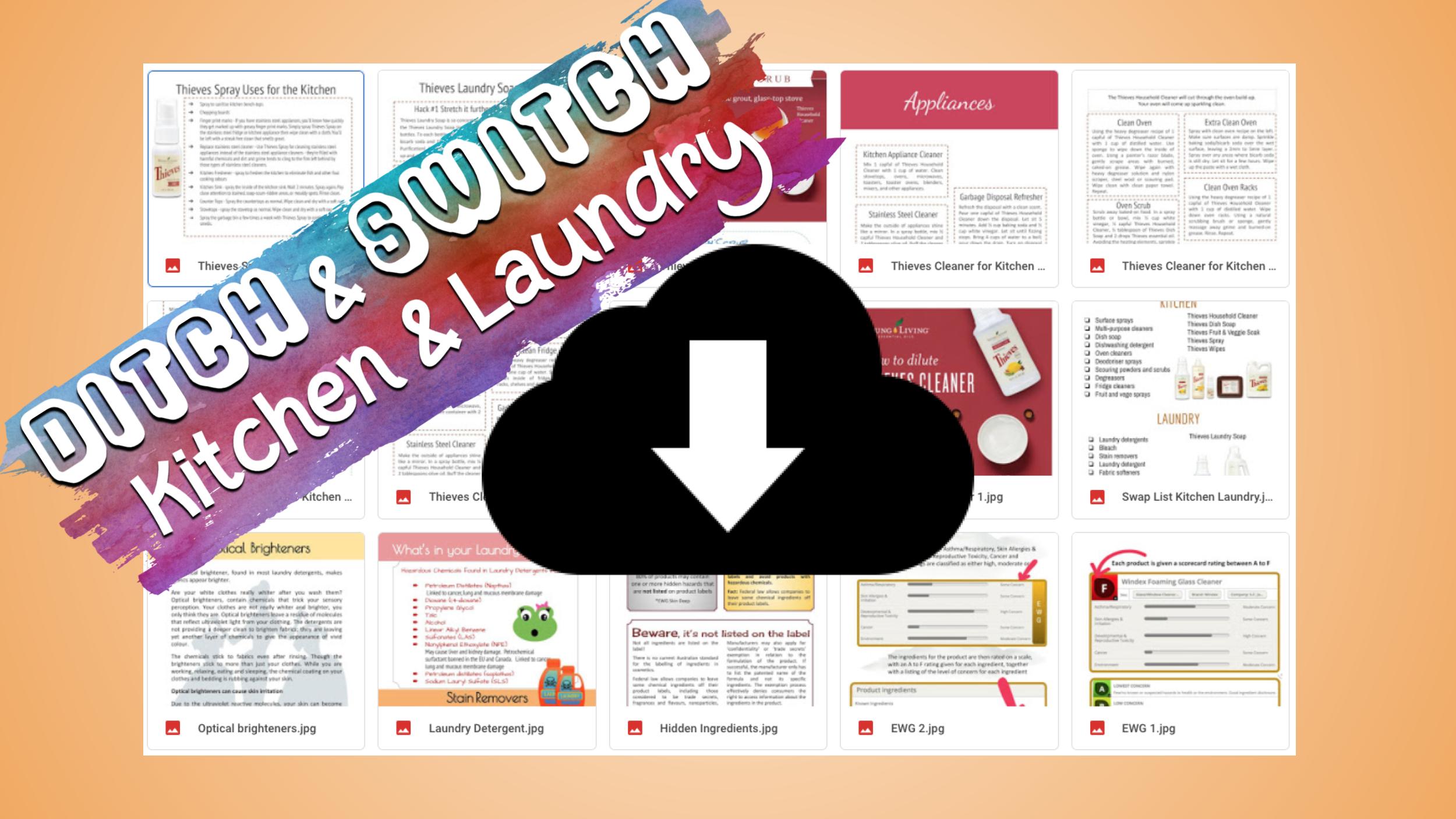 Ditch & Switch in the Kitchen & Laundry - Handouts