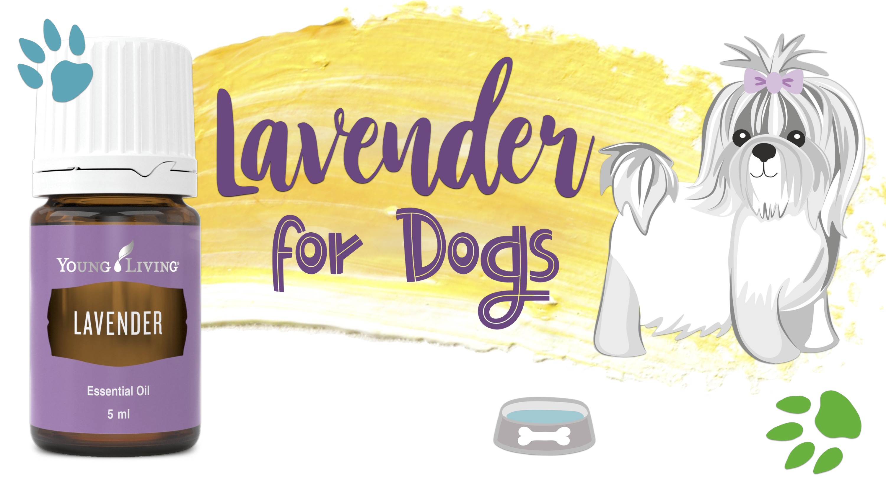 Lavender for Dogs