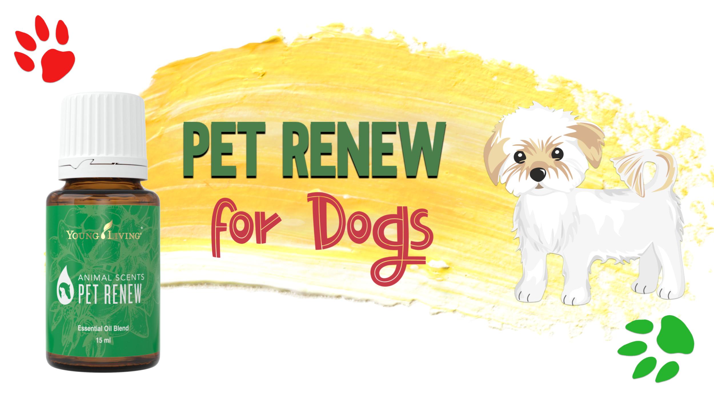 Pet Renew for Dogs