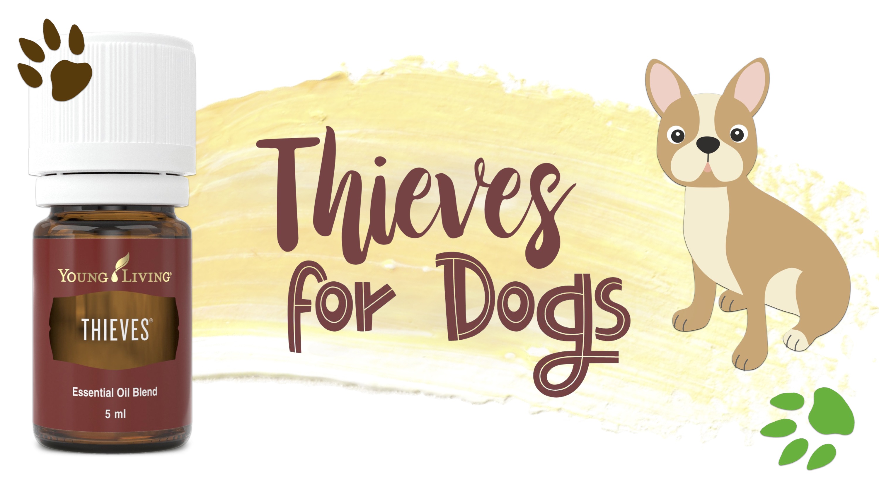Thieves for Dogs