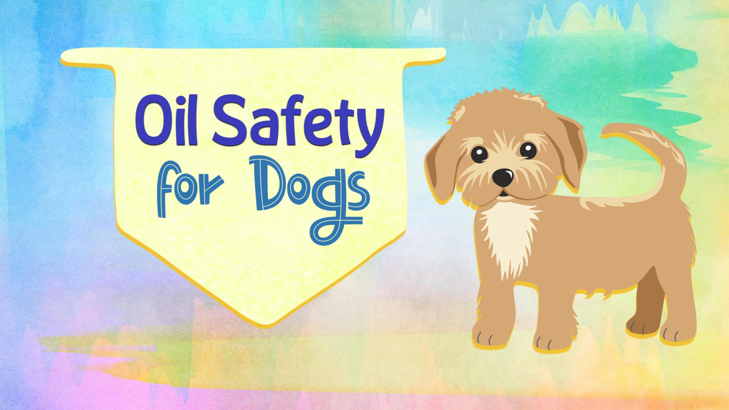 Oil safety for dogs