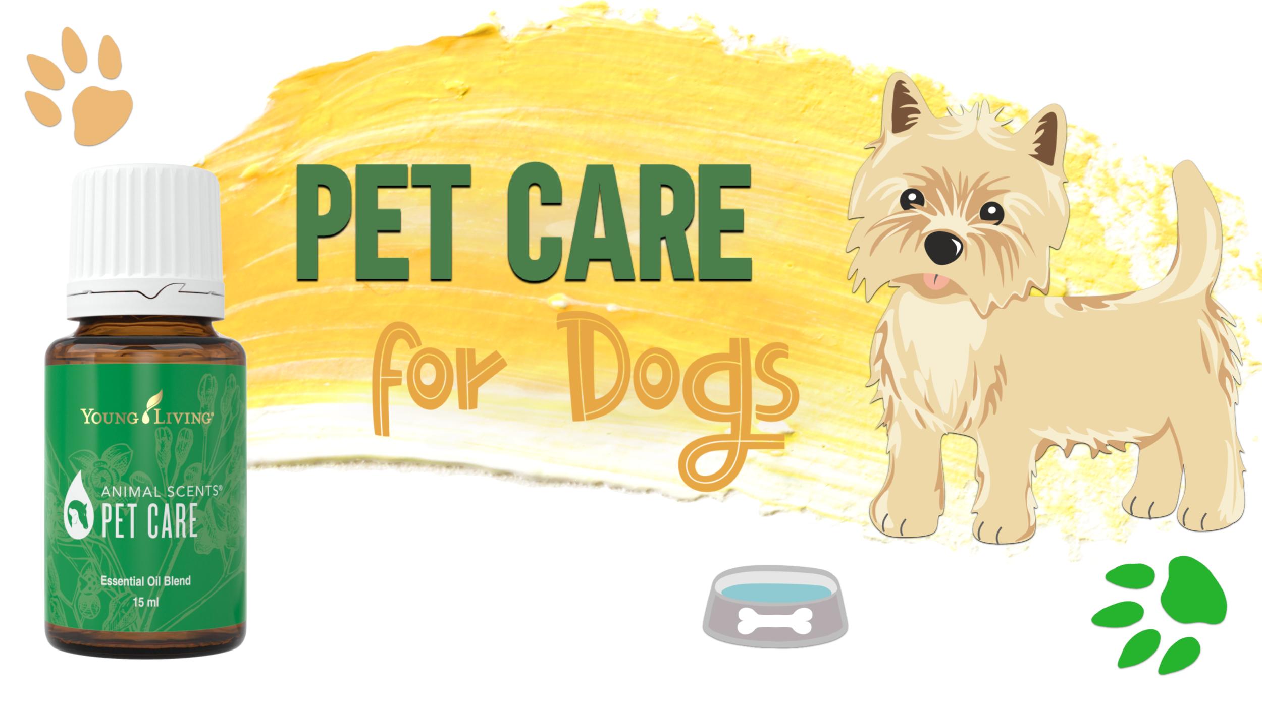 Pet Care for Dogs