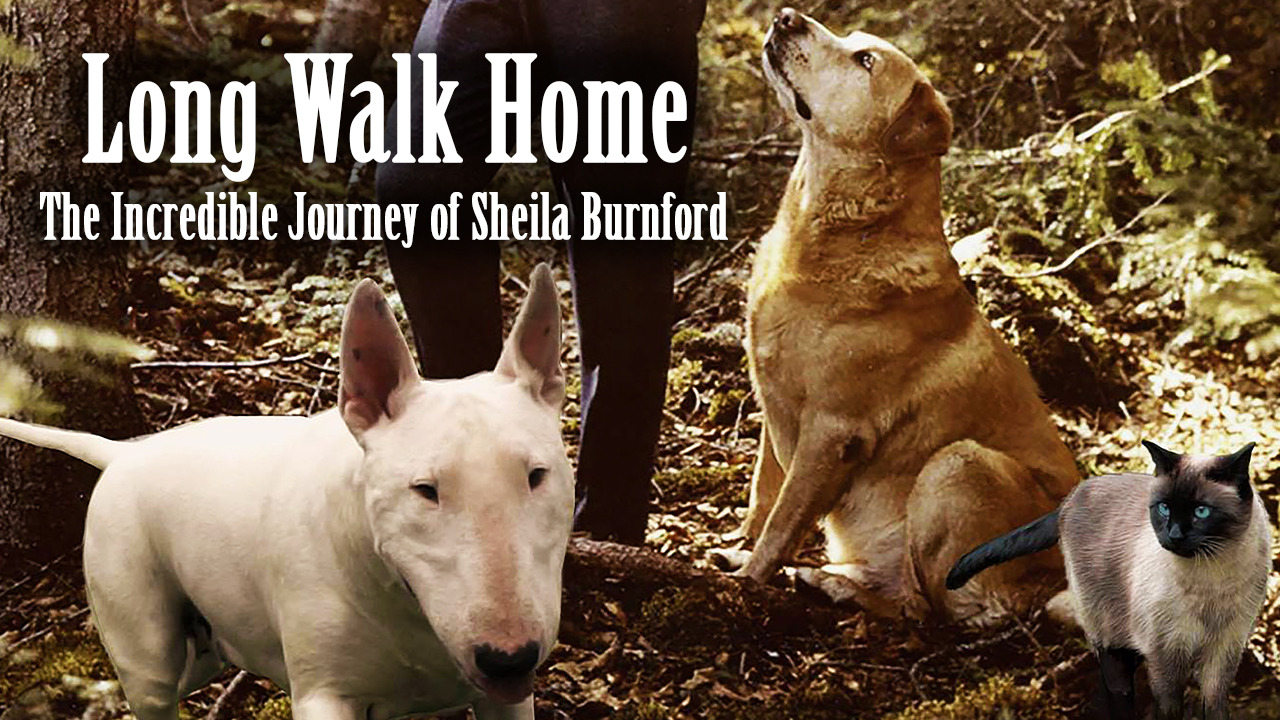 Long Walk Home- The Incredible Journey of Sheila Burnford 