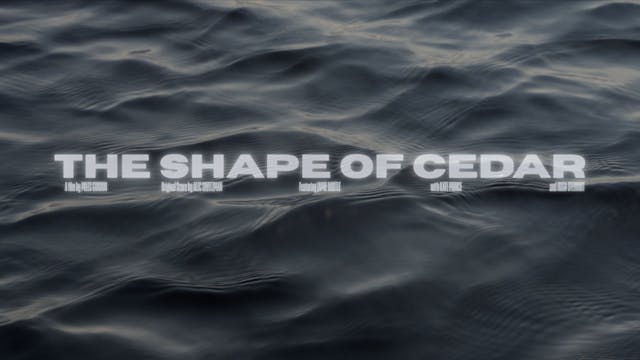 The Shape of Cedar