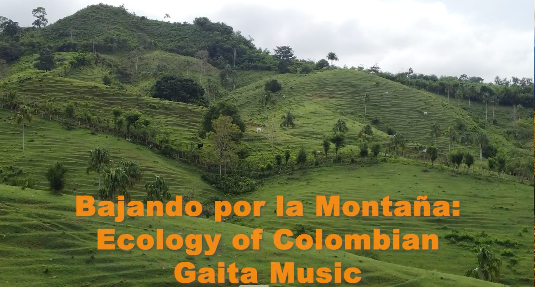 Bajando por la Montaña: Ecology of Colombian Gaita Music