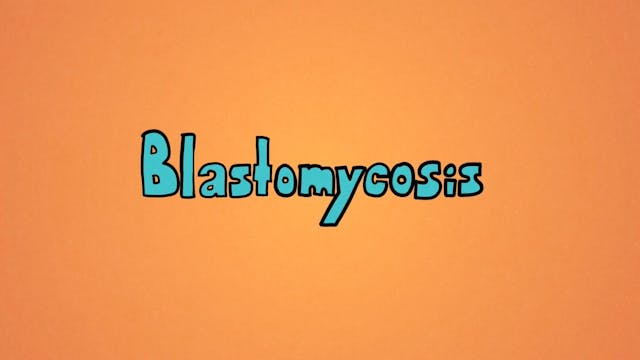 What is Blasto? 