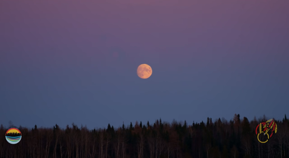 Matawa Voices (Free Viewing)