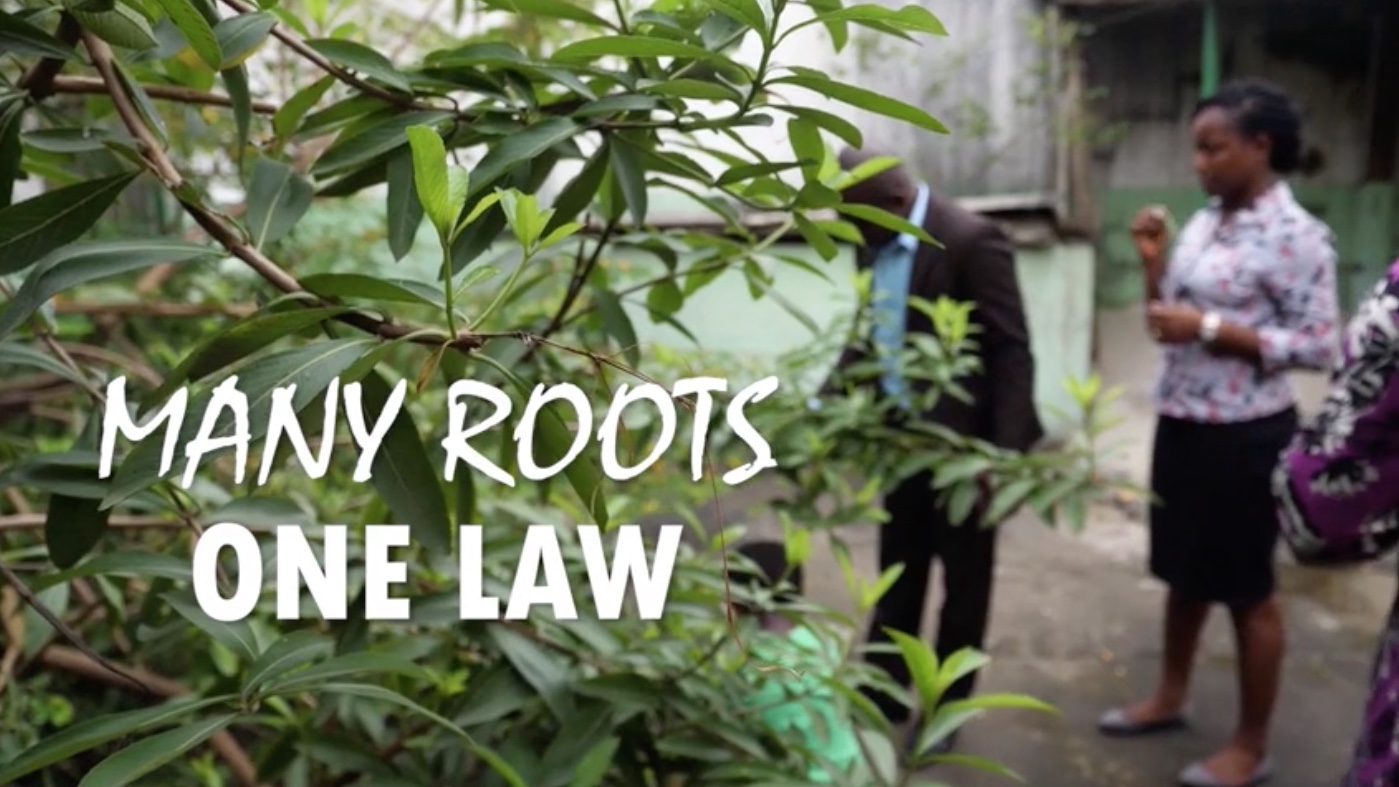 Des racines, une loi/ Many roots, One Law