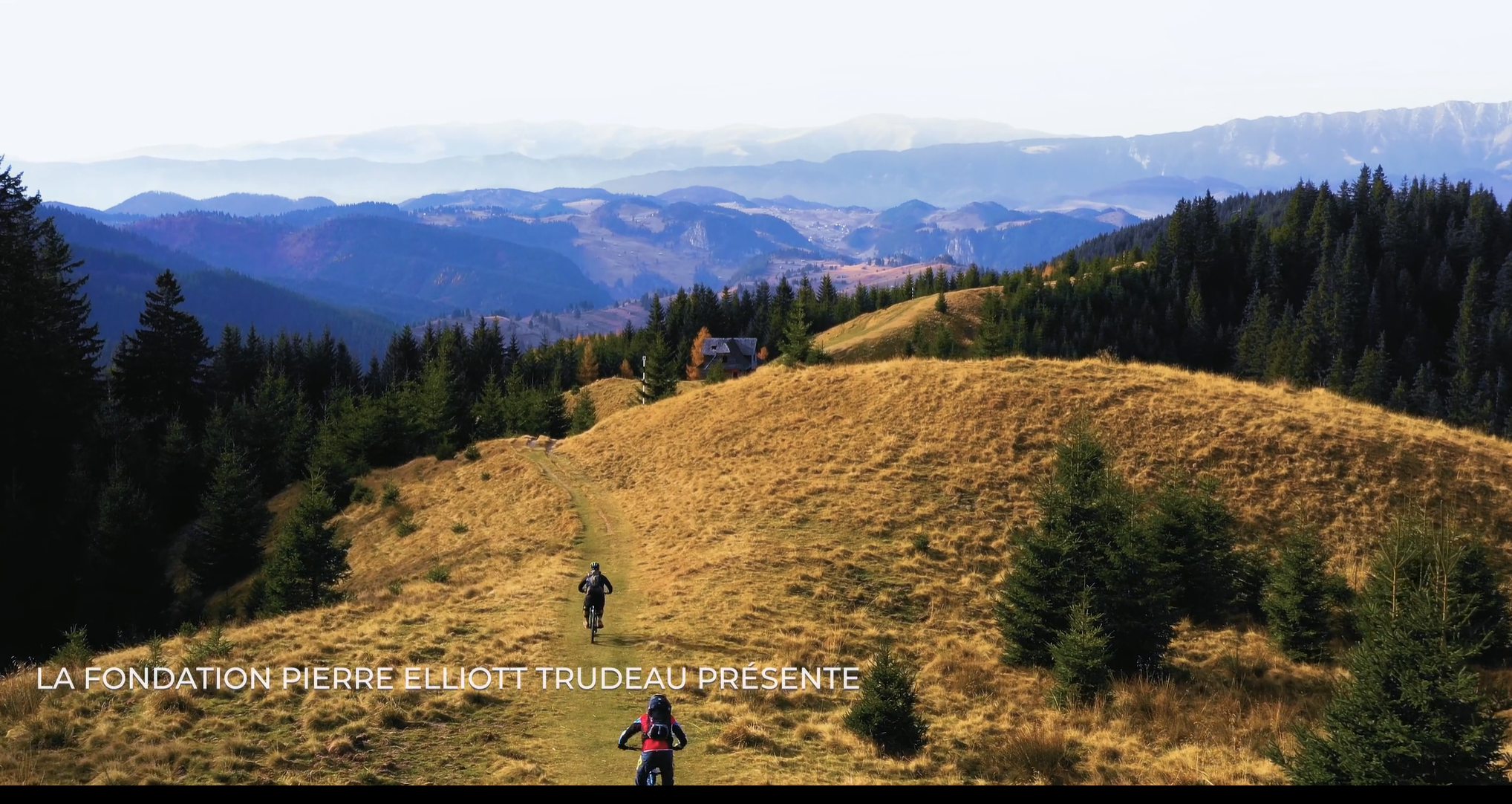 Tipping Point: From Local Protection to the Global Governance of Biodiversity