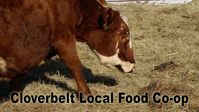 Cloverbelt Local Food Co-op