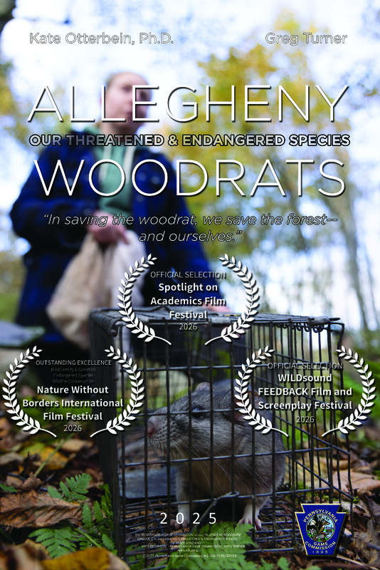 Our Threatened and Endangered Species： Allegheny Woodrats