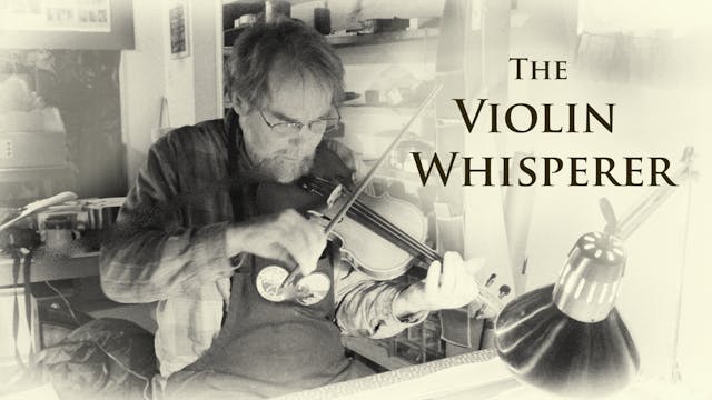 Violin Whisperer