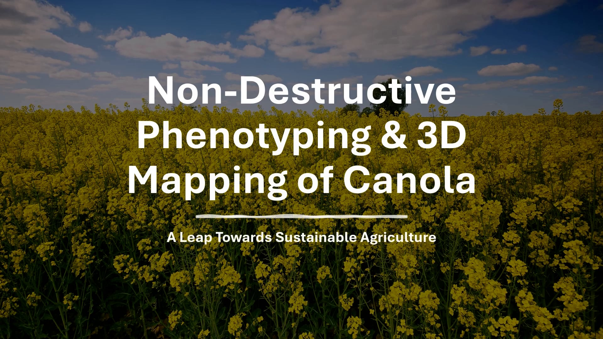 Tensi Warnakulasooriya