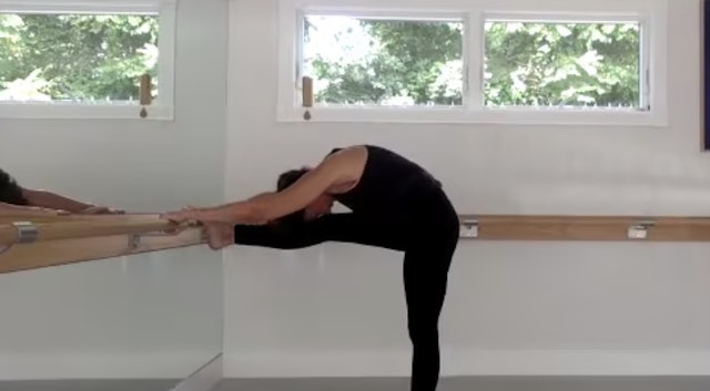 Clean lines and long body - Barre