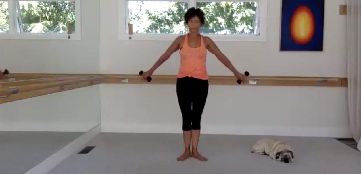 Modifications: Bonus arm workout with weights