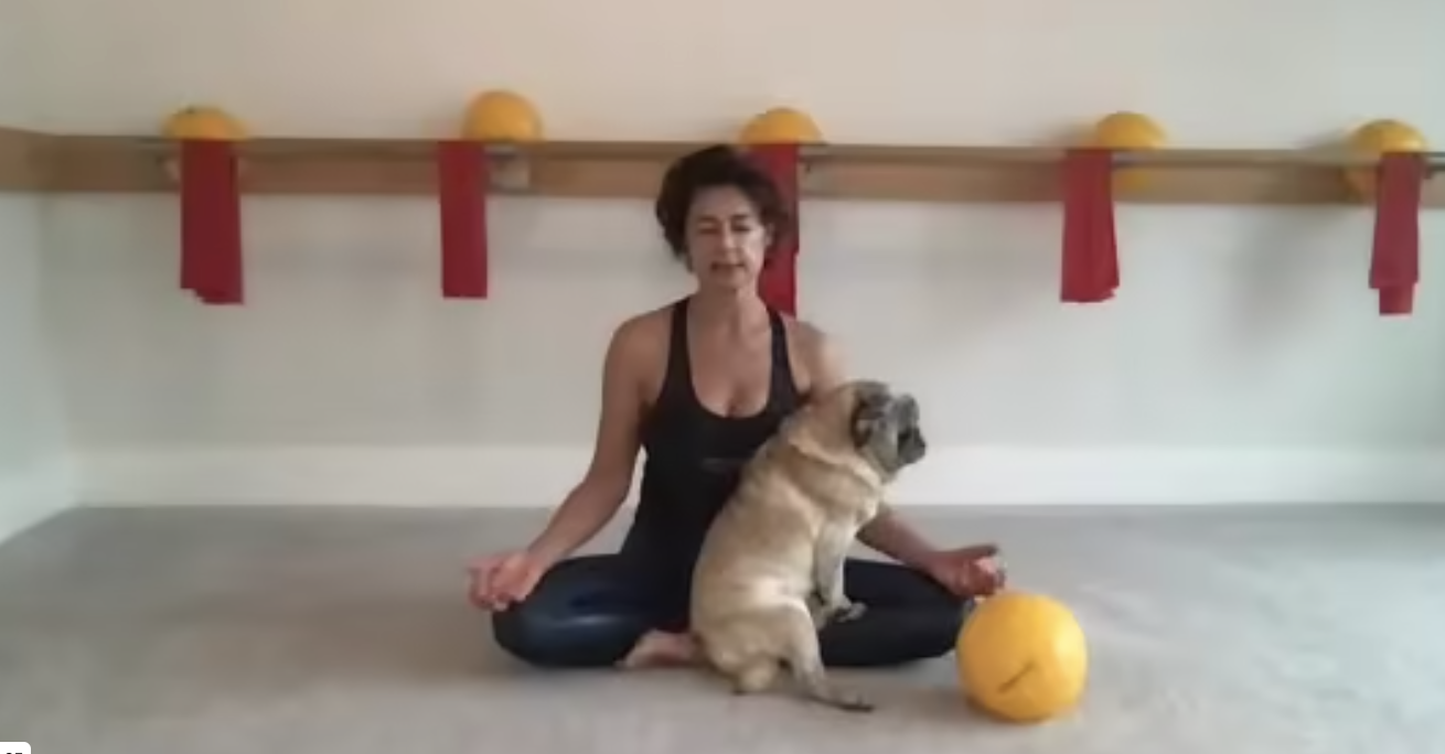 Full body flow with lots of long legs and booty