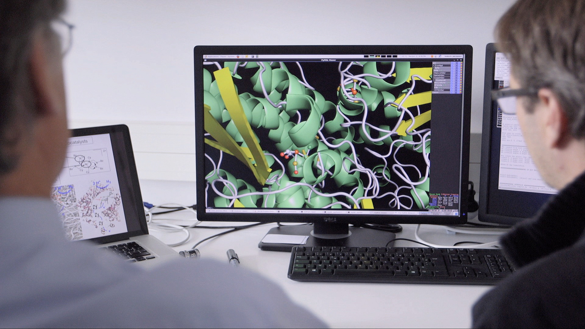 Enzymes full of energy