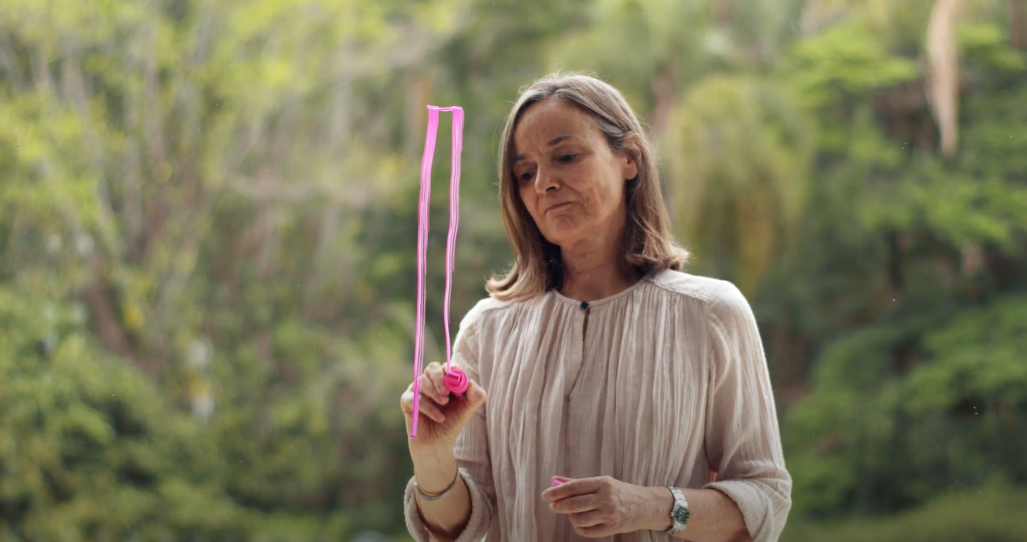 Claudia Moreira Salles