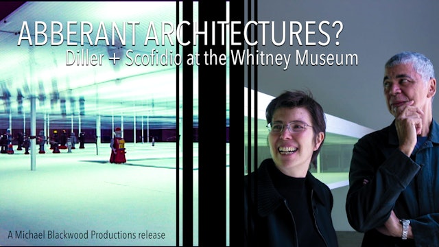 Aberrant Architectures? Diller + Scofidio at the Whitney Museum