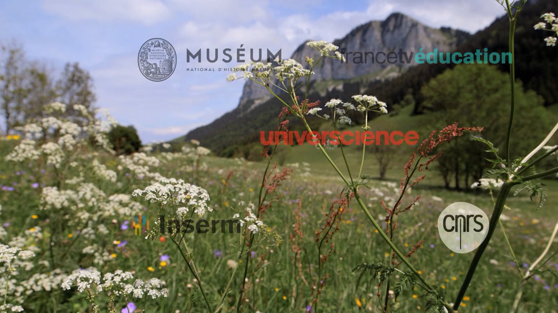 A More Natural Farming