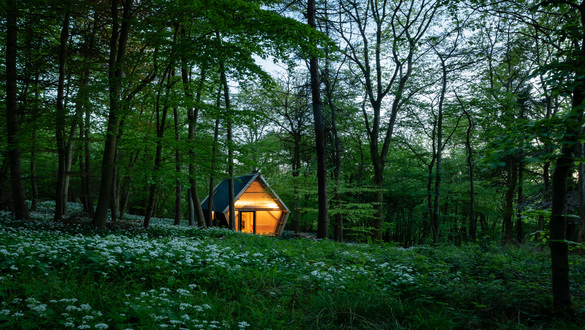 Practice: Invisible Studio