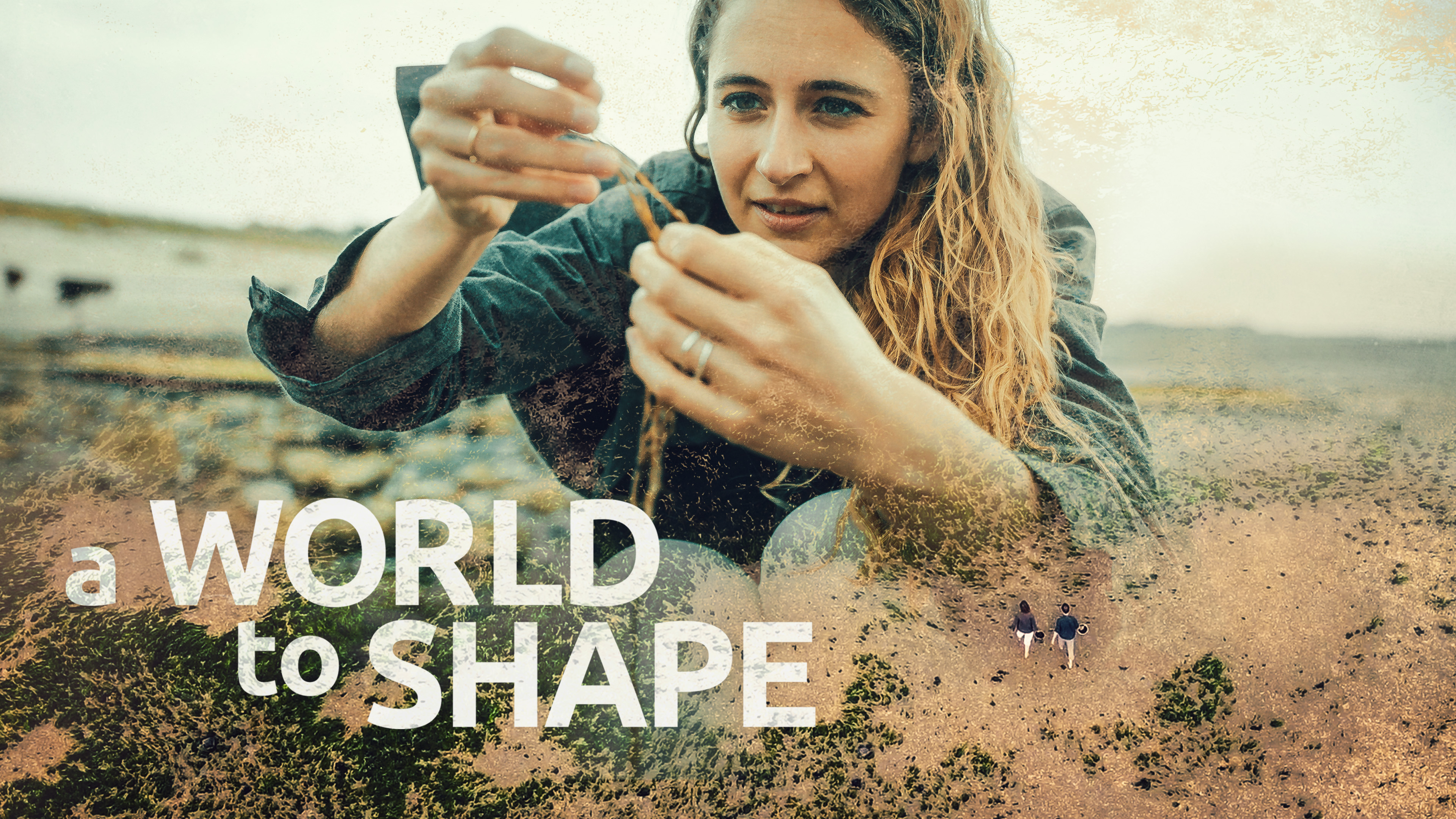 A World to Shape