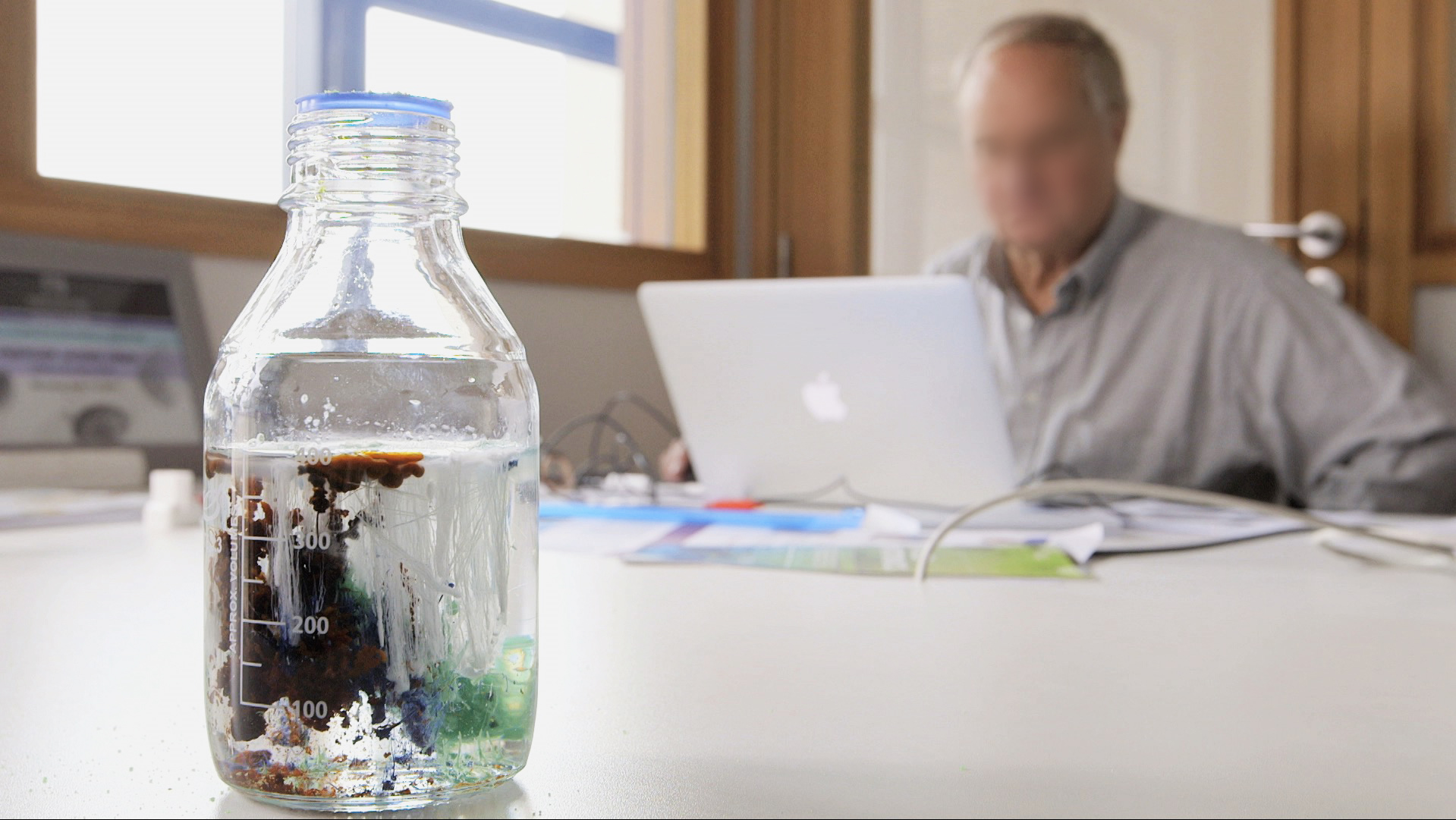 The Glass of the Diatoms