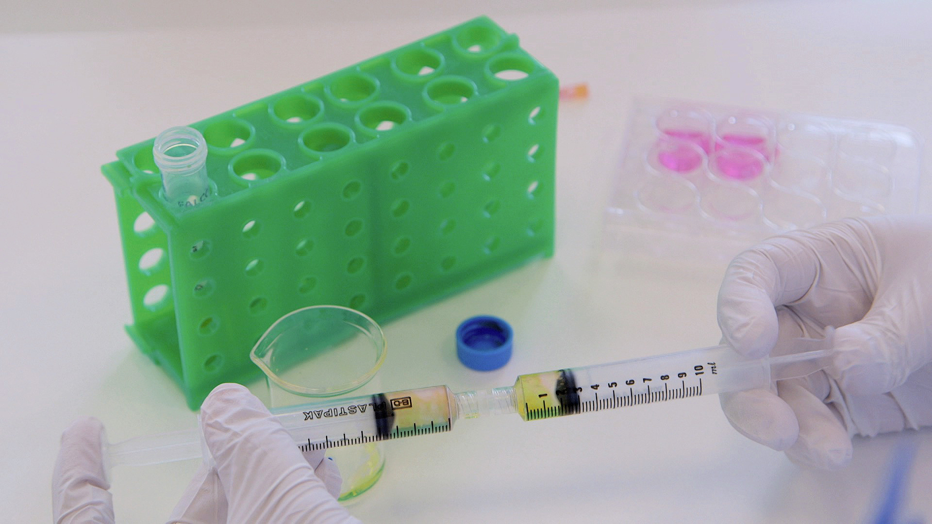 Restorative Bacteria