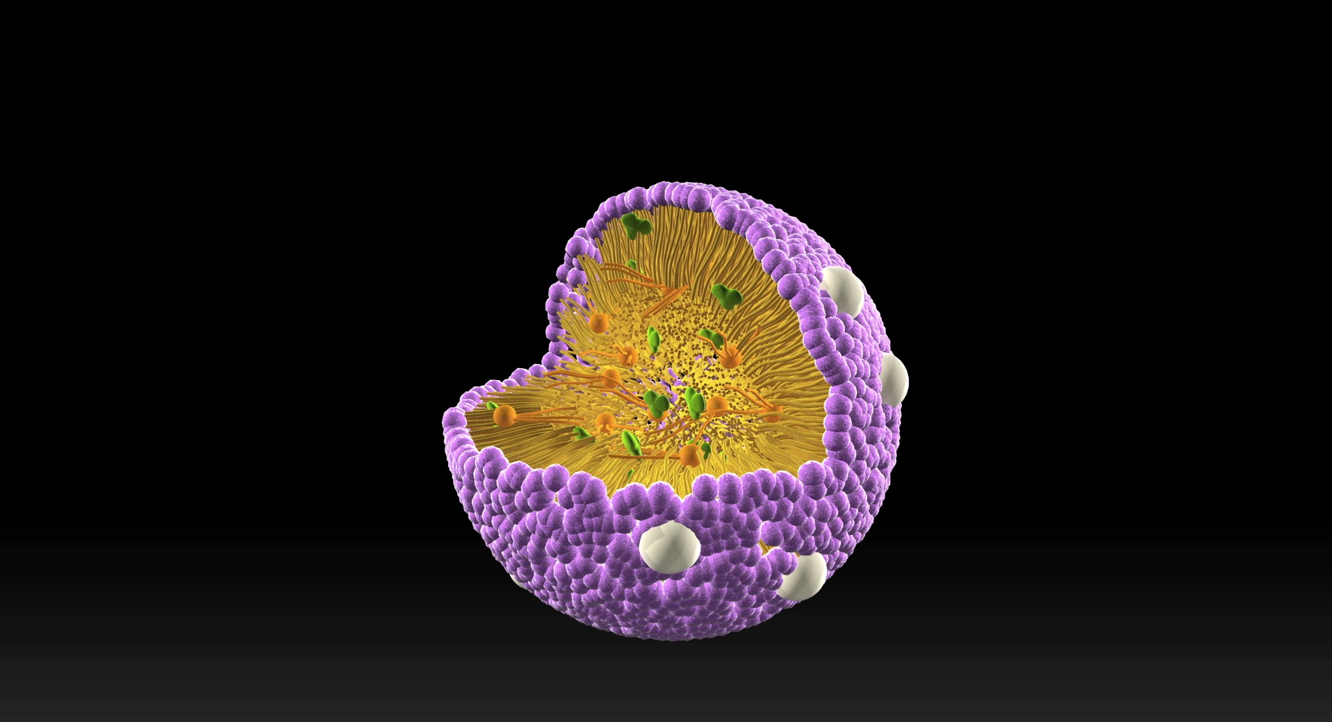 At the Heart of the Cell