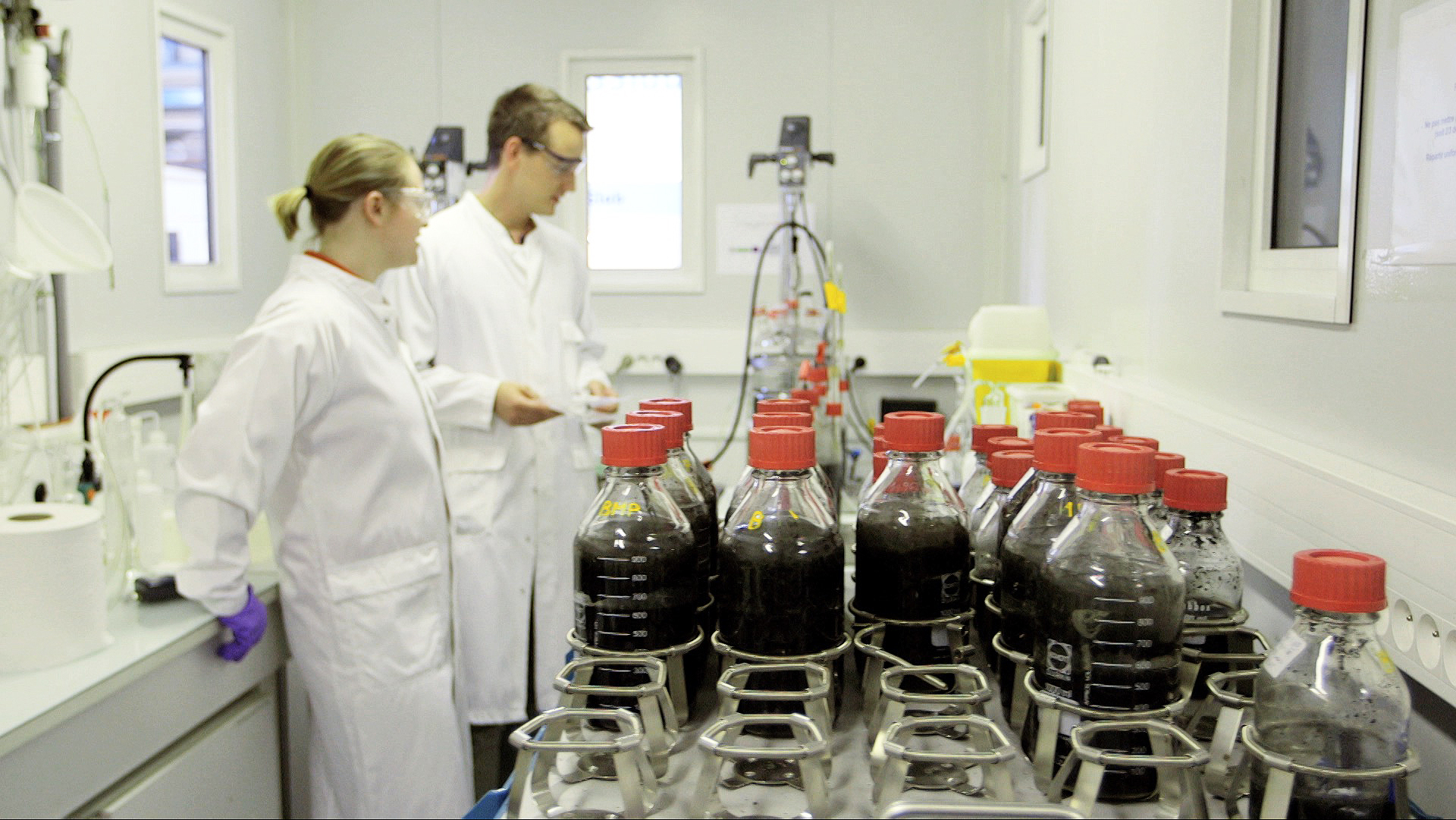 The Very Greedy Termites