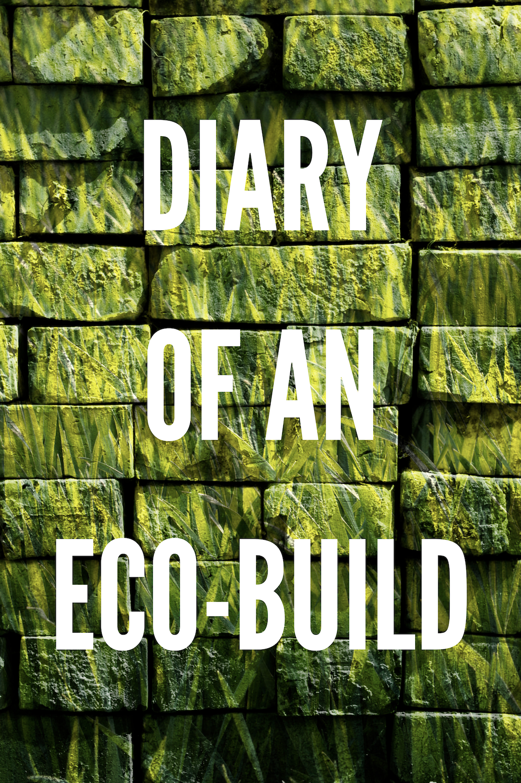Diary of an Ecobuild