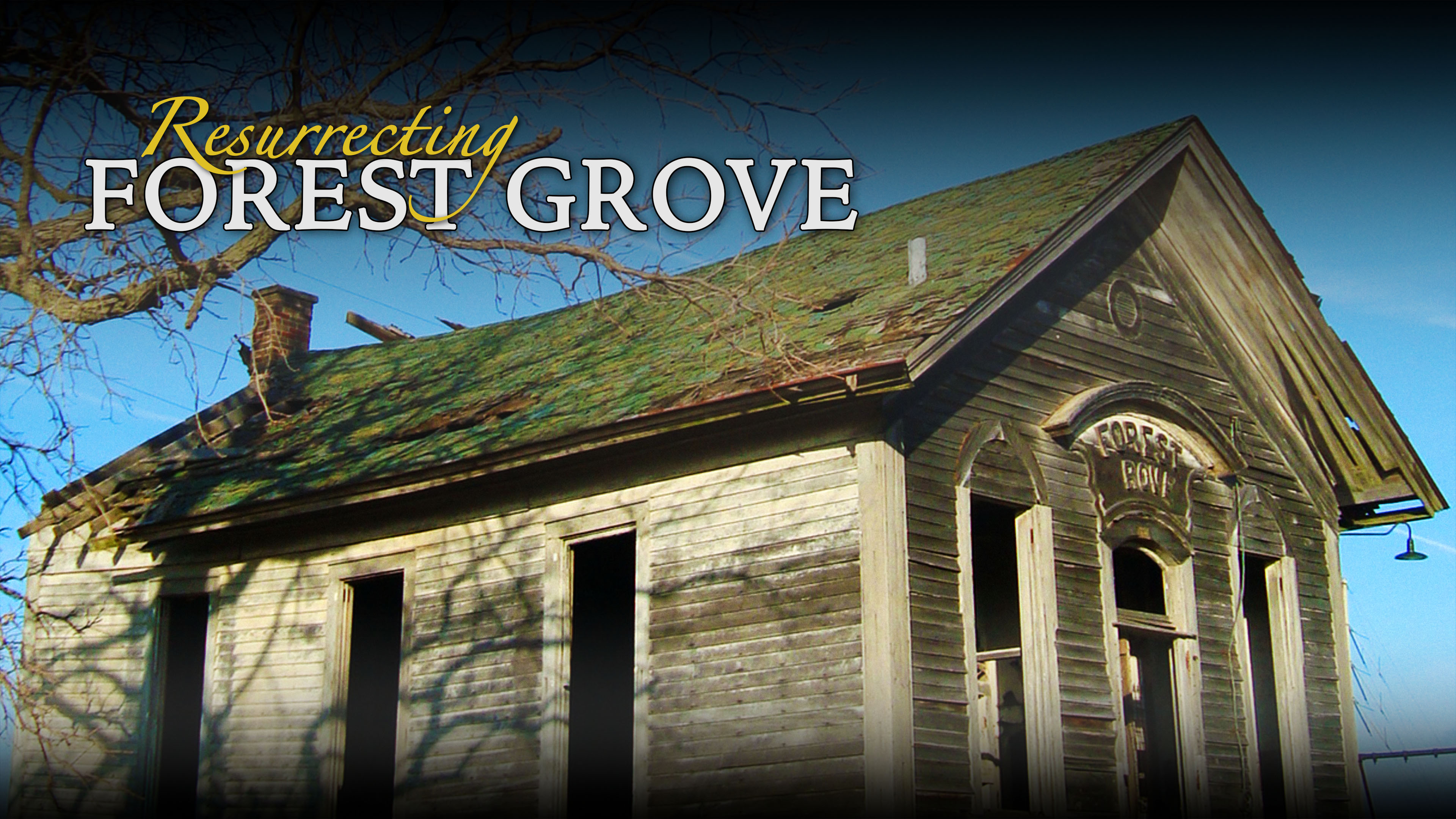 Resurrecting Forest Grove