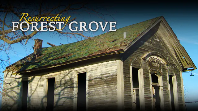 Resurrecting Forest Grove