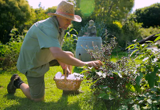 From Finance to Farmer