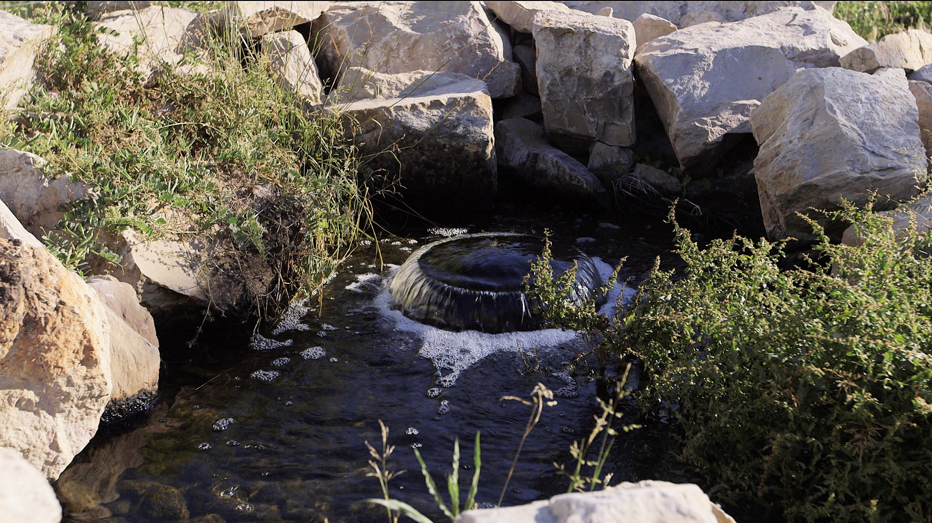 The Libellule’s Area