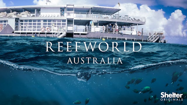 ReefWorld - The Ultimate Ocean Escape