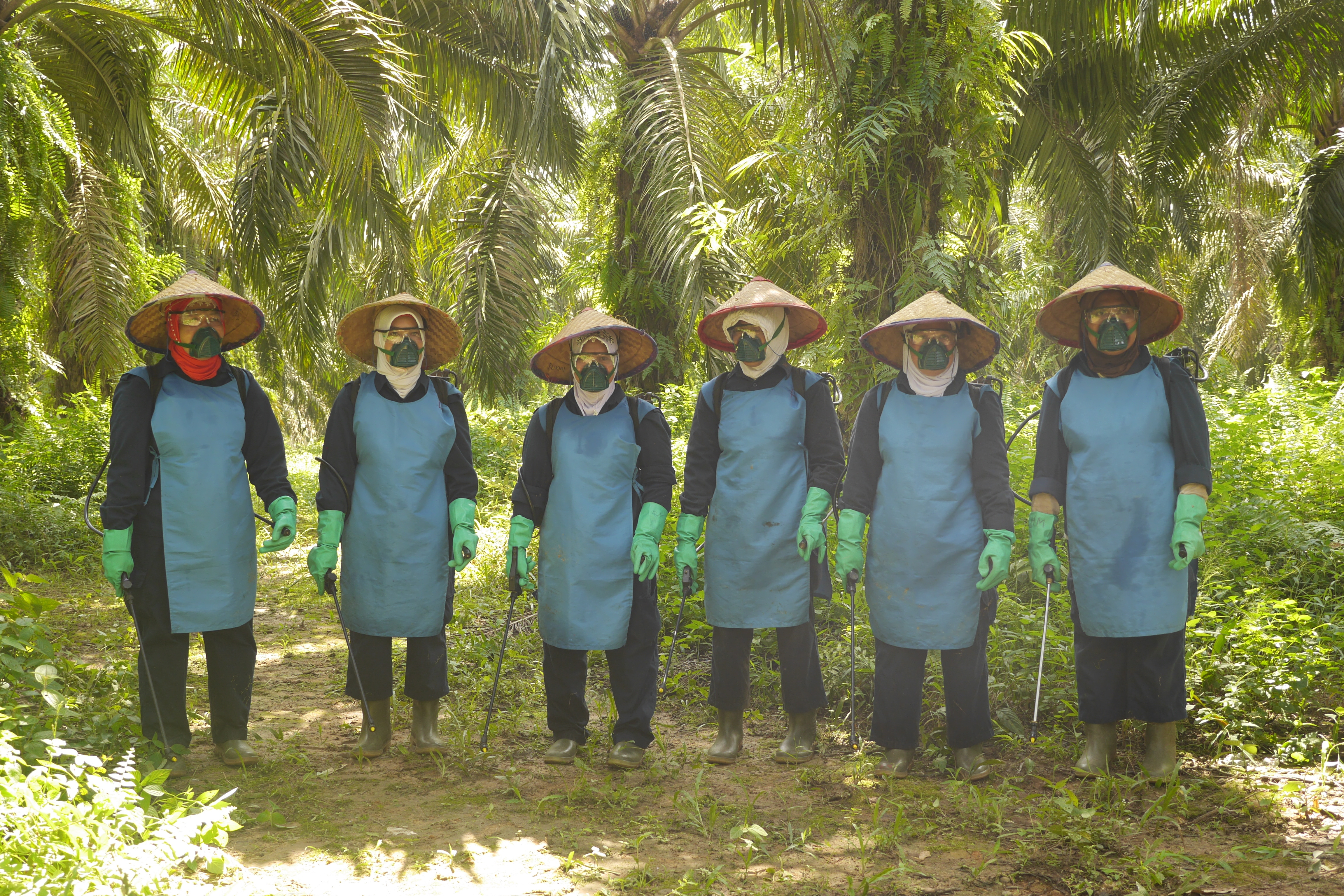 Land Grabbing Shelter