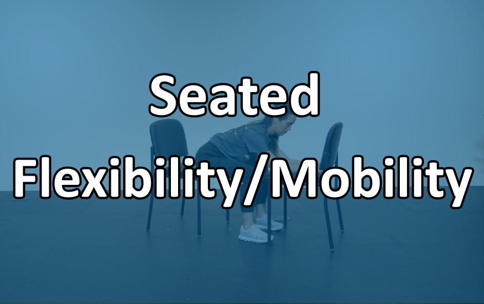 Seated Flexibility/Mobility