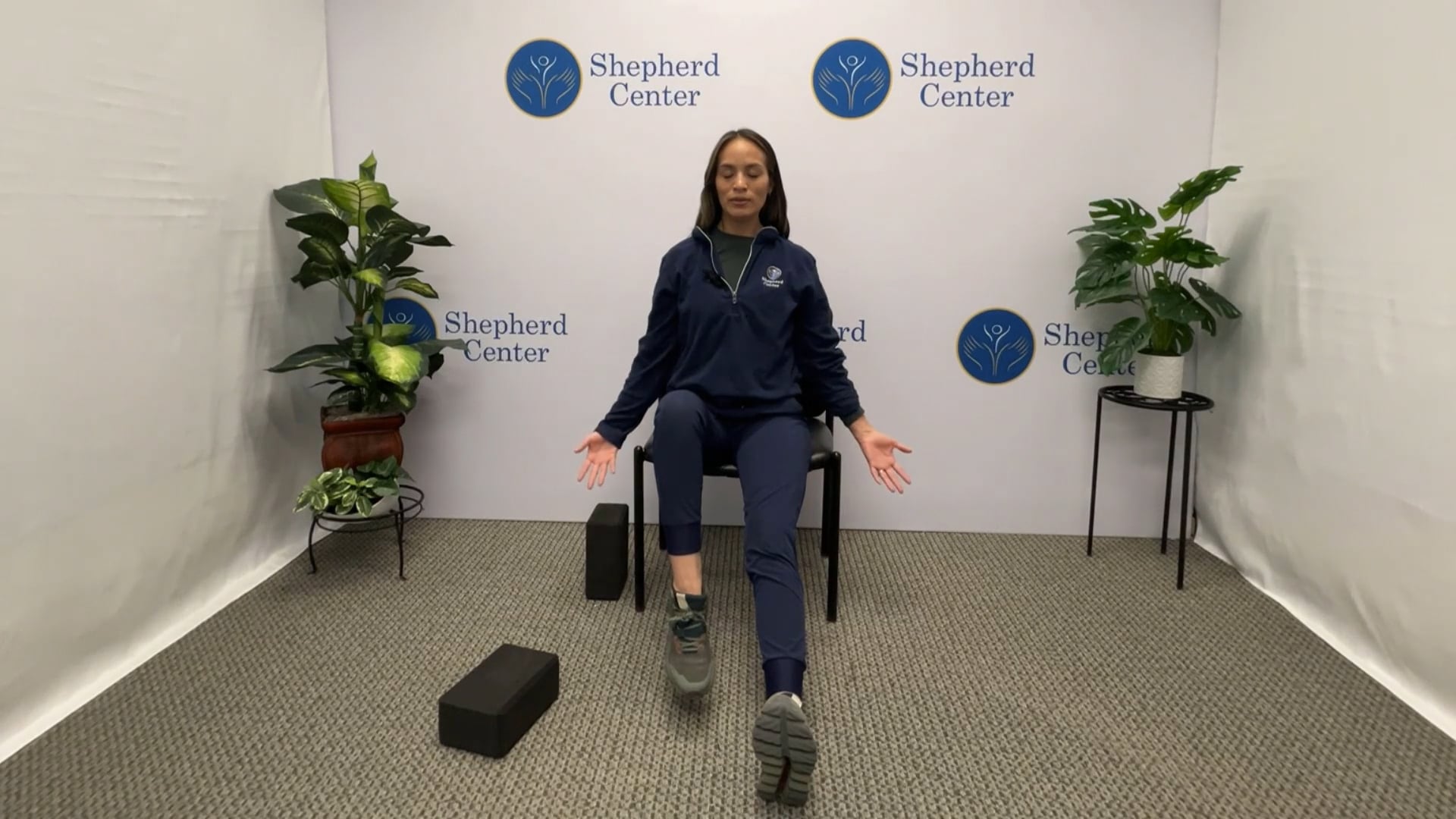 40 Minute Gentle Chair Yoga (Stork Tree Flow) with Allie J.